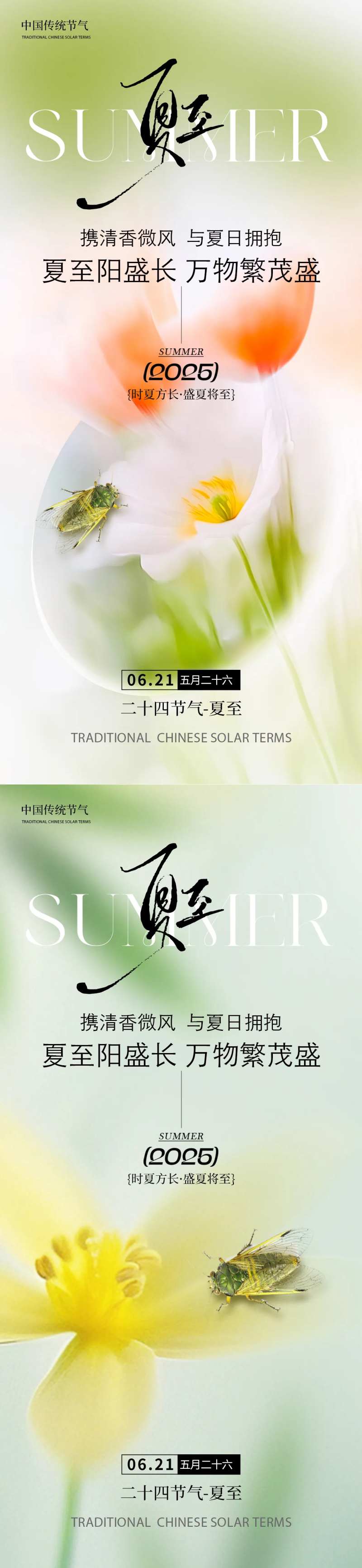 夏至清新风格花朵系列 -采灵感-cailinggan.com