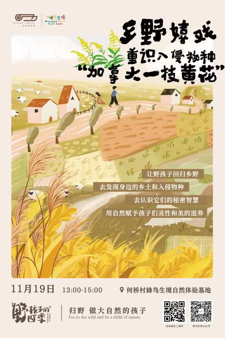 乡野嬉戏重识入侵物种加拿大一枝黄花-采灵感-https://www.cailinggan.com/