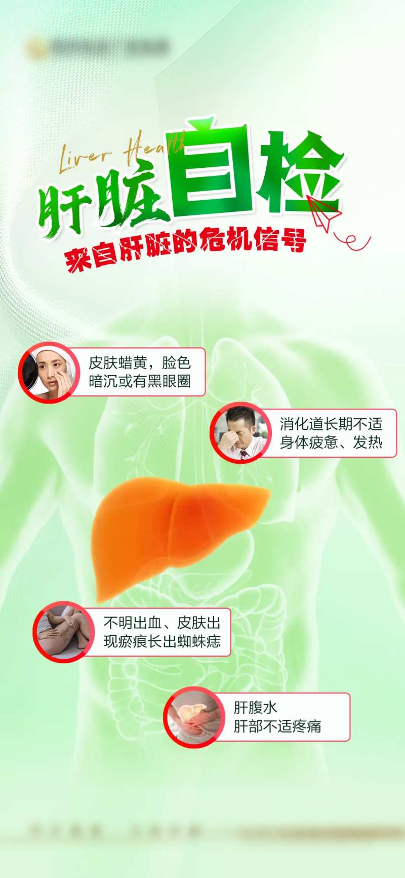 肝脏健康科普海报-采灵感-cailinggan.com