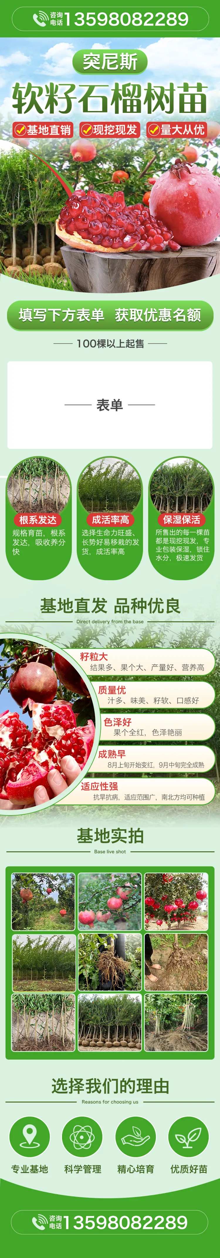 石榴树苗详情页-采灵感-cailinggan.com