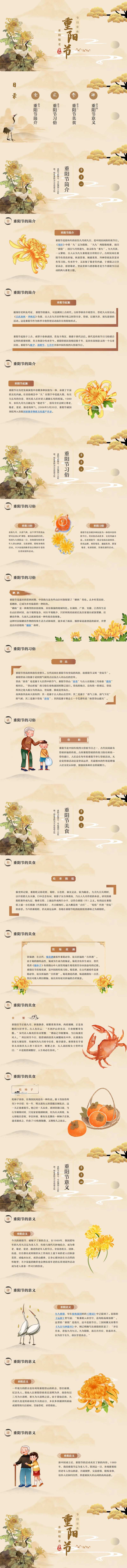 中国风传统节日重阳节宣传PPT模板-采灵感-cailinggan.com