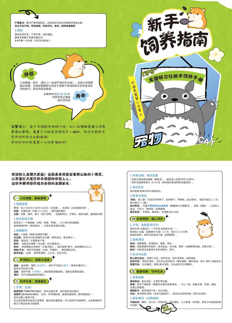 宠物龙猫饲养手册指南-采灵感-cailinggan.com