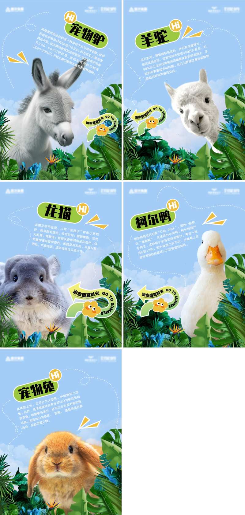 萌宠活动宣传系列海报-采灵感-cailinggan.com