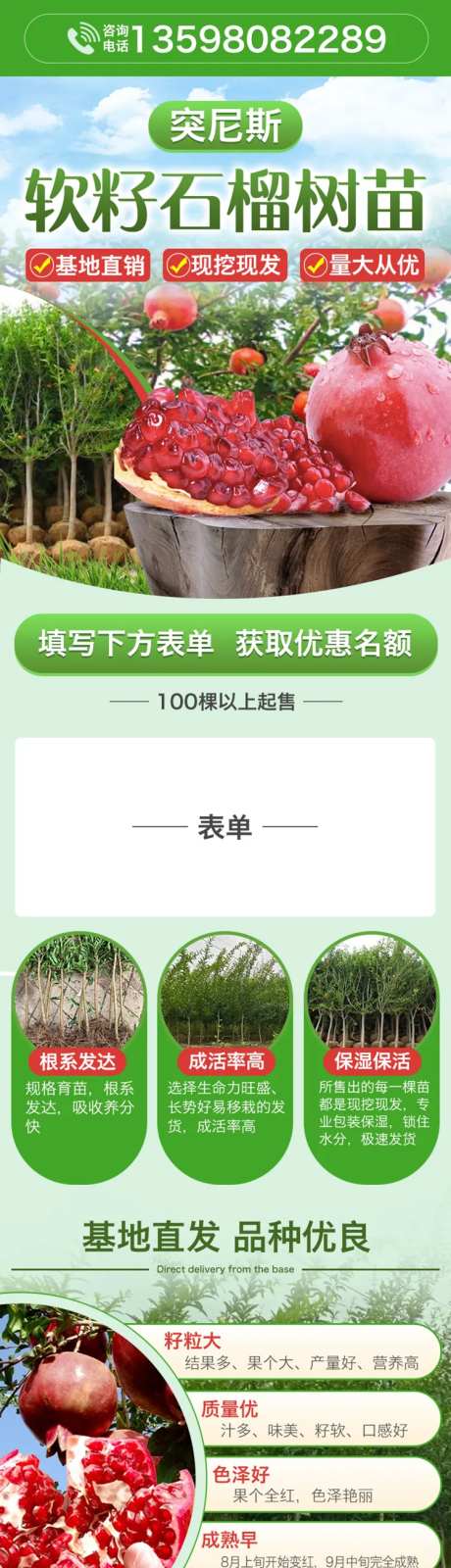 石榴树苗详情页-采灵感-https://www.cailinggan.com/