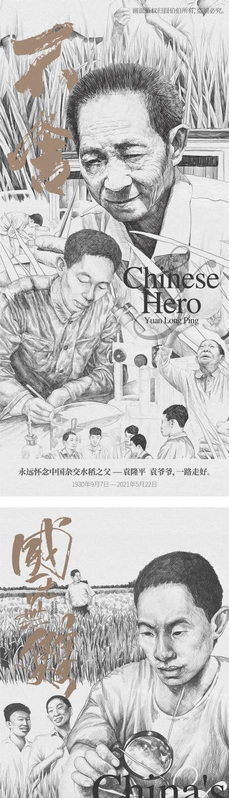 地产热点缅怀院士水稻插画微信海报-采灵感-https://www.cailinggan.com/
