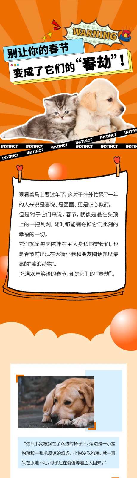 猫猫狗狗食物长图-采灵感-https://www.cailinggan.com/