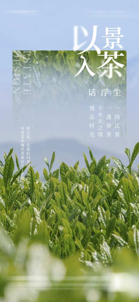 茶叶天空之境微单-采灵感-https://www.cailinggan.com/