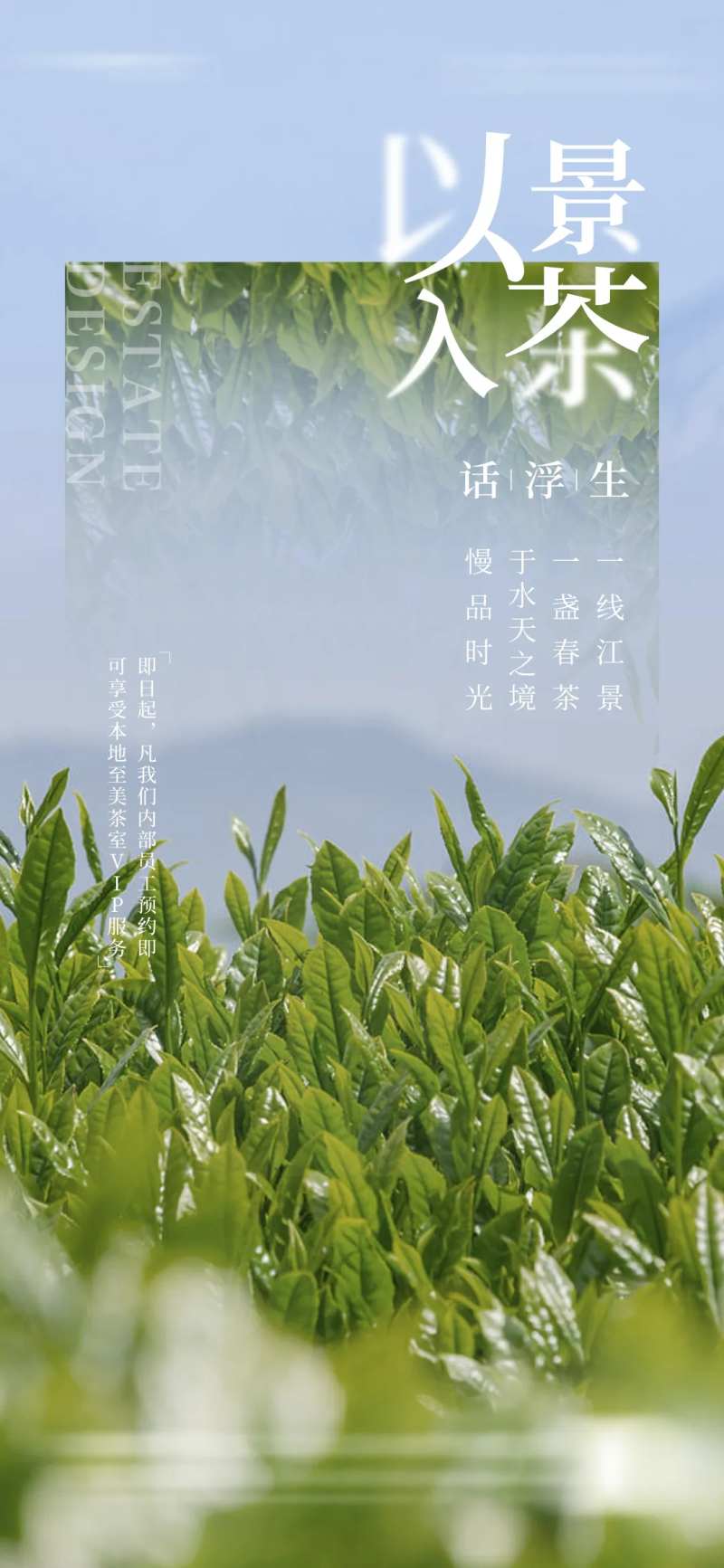茶叶天空之境微单-采灵感-cailinggan.com