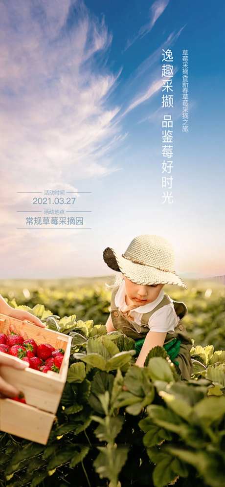 春节草莓采摘活动海报-采灵感-https://www.cailinggan.com/