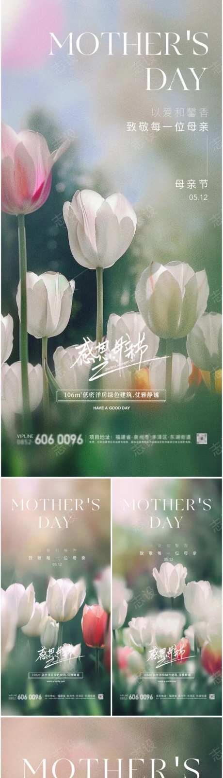 母亲节郁金香海报-采灵感-https://www.cailinggan.com/