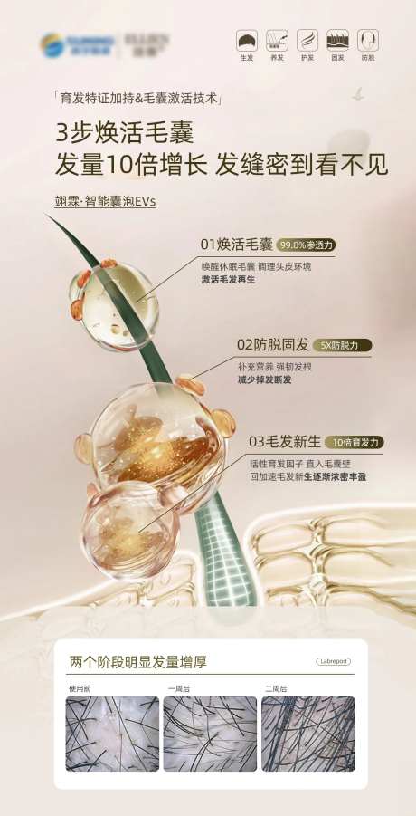 头发生长脱发-采灵感-https://www.cailinggan.com/