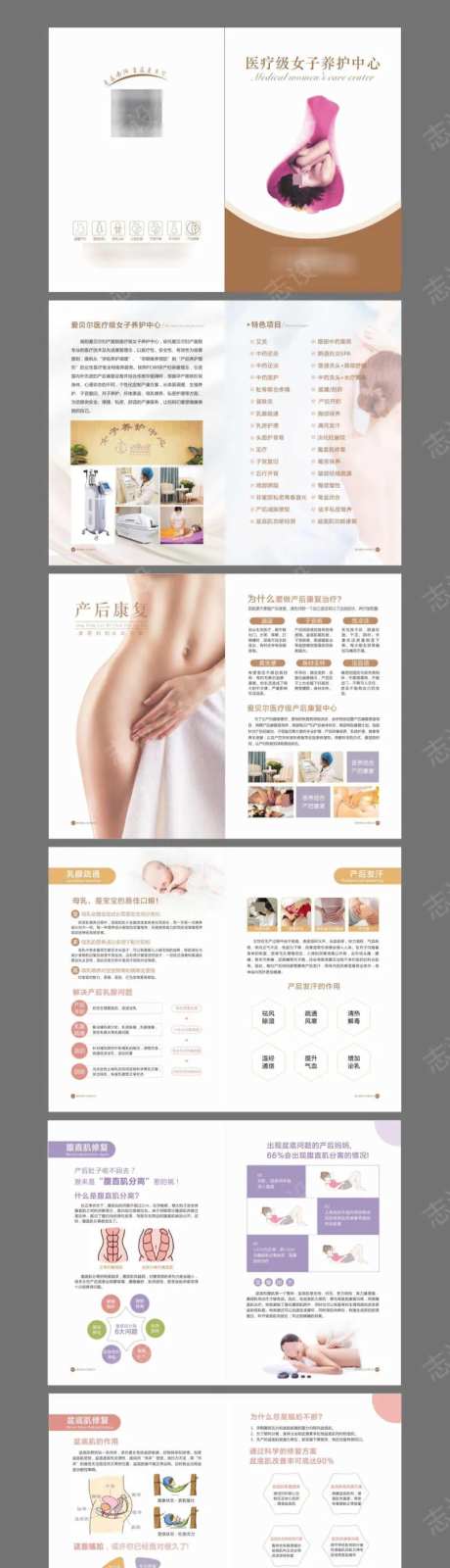 产后康复画册-采灵感-https://www.cailinggan.com/