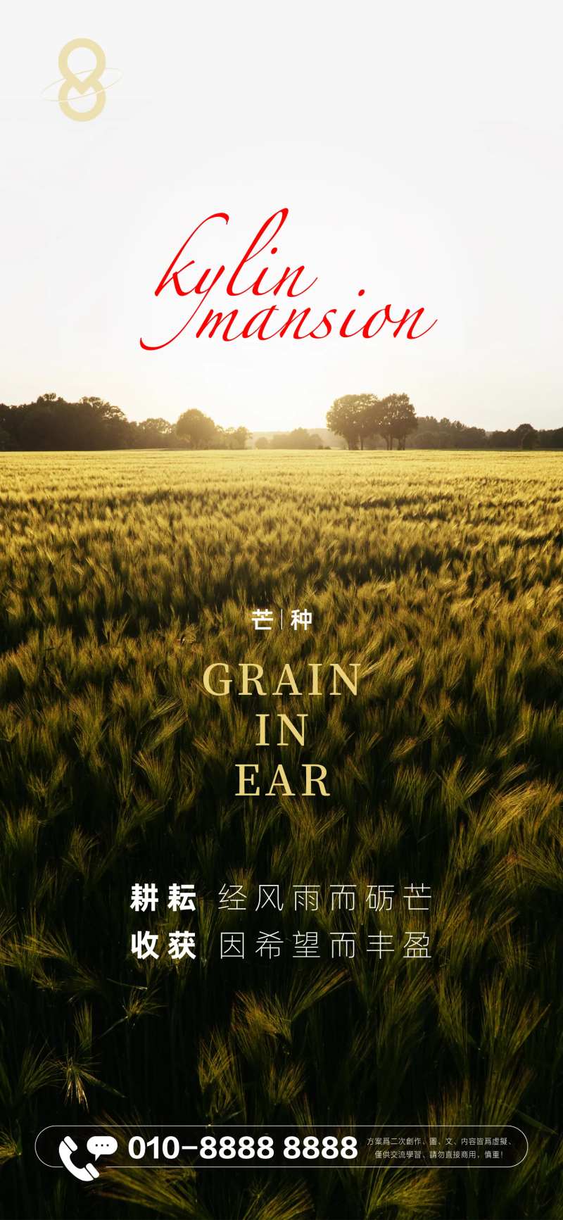 芒种节气大气海报-采灵感-cailinggan.com