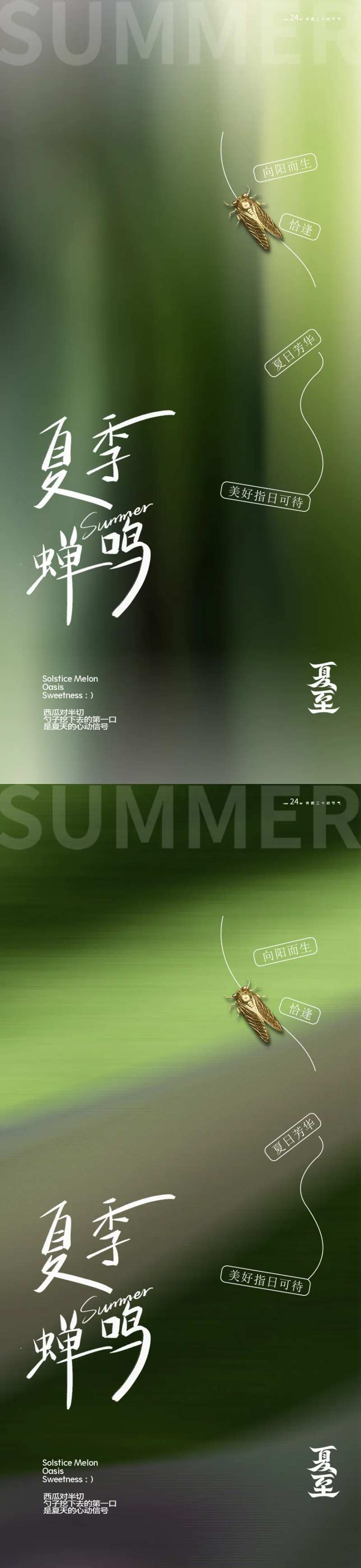 夏至知了海报-采灵感-cailinggan.com