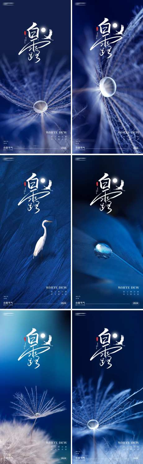 白露24节气海报-采灵感-https://www.cailinggan.com/