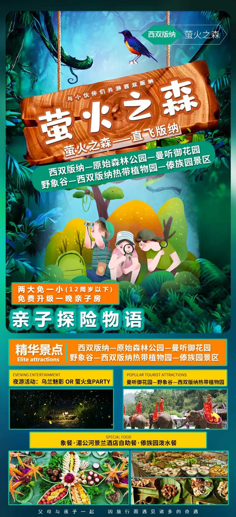 萤火之森-采灵感-cailinggan.com
