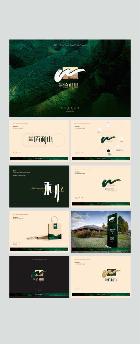 地产提案山水VIS设计-采灵感-https://www.cailinggan.com/