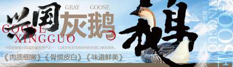 兴国灰鹅海报-采灵感-https://www.cailinggan.com/