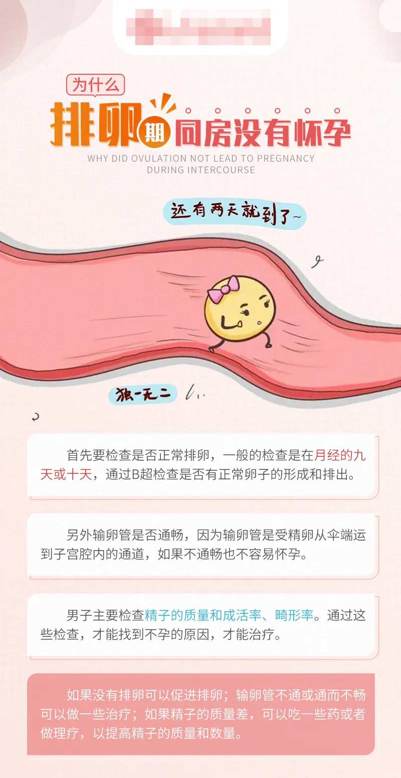 为什么排卵期同房没有怀孕-采灵感-cailinggan.com