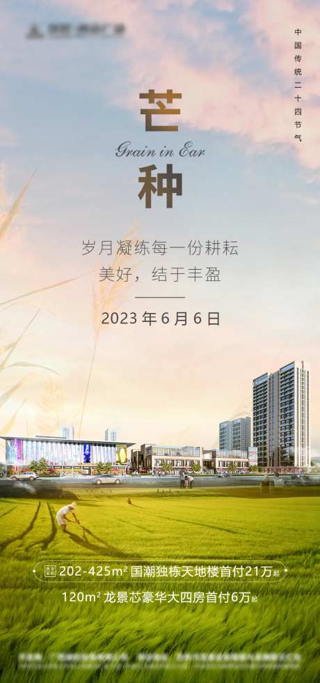芒种二十四节气海报-采灵感-https://www.cailinggan.com/