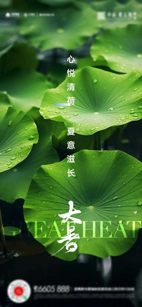 大暑小暑夏至立夏海报-采灵感-https://www.cailinggan.com/