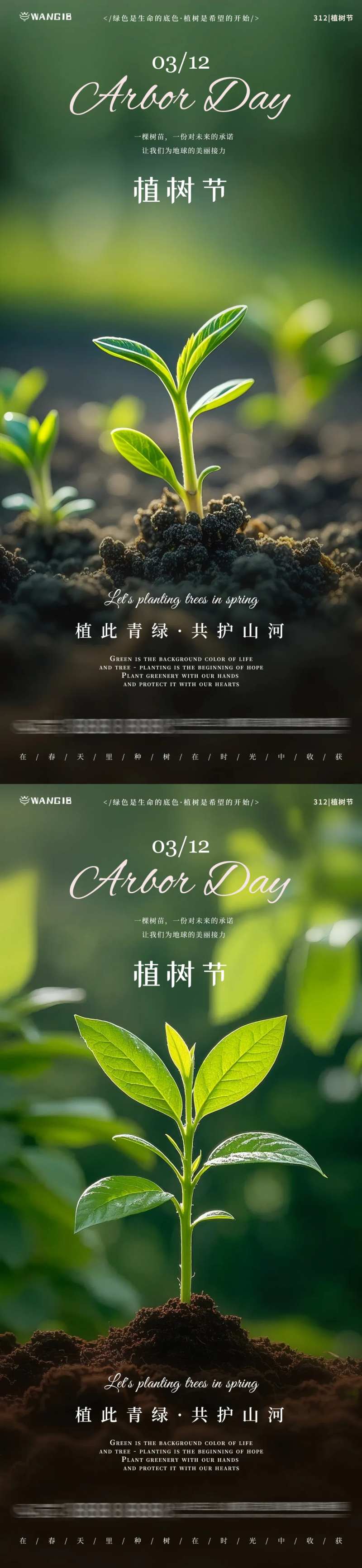 植树节树苗海报-采灵感-cailinggan.com