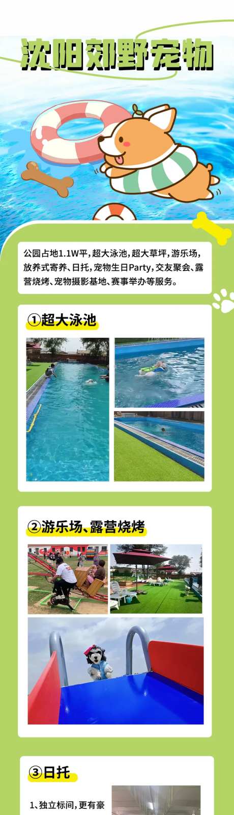 宠物娱乐活动长图-采灵感-https://www.cailinggan.com/