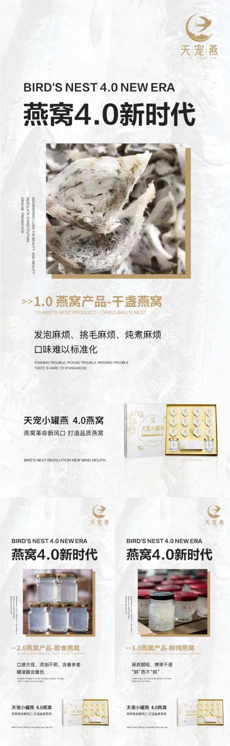 鲜炖燕窝鱼胶宣传海报展板-采灵感-https://www.cailinggan.com/