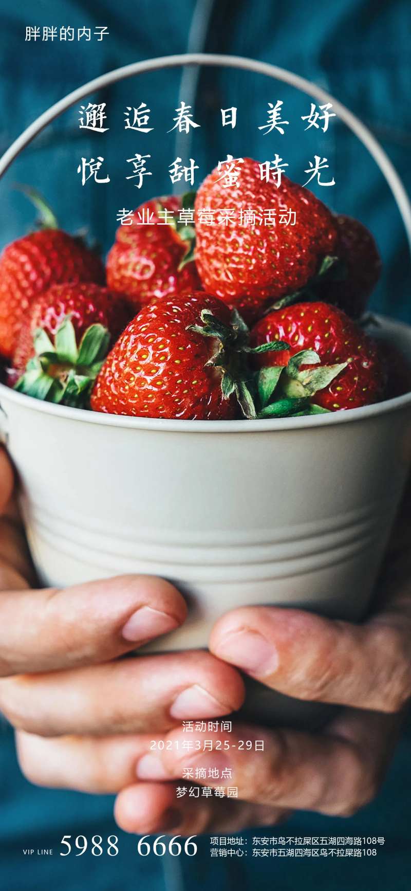 草莓亲子采摘活动海报-采灵感-cailinggan.com