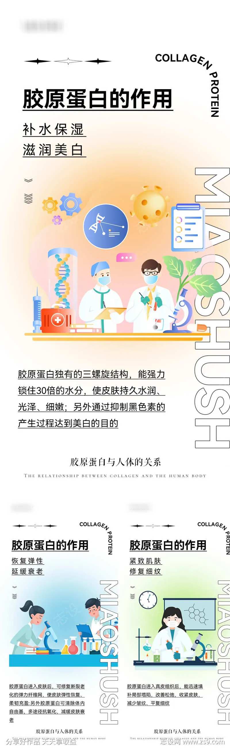 胶原蛋白的作用-采灵感-cailinggan.com