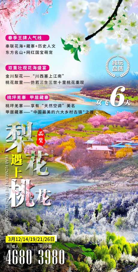 西藏林芝桃花沟旅游海报-采灵感-https://www.cailinggan.com/
