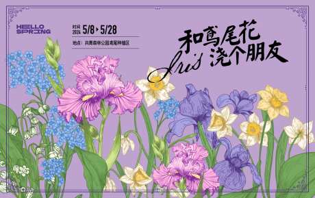 鸢尾花-采灵感-https://www.cailinggan.com/