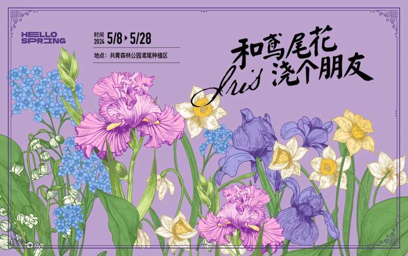 鸢尾花-采灵感-cailinggan.com