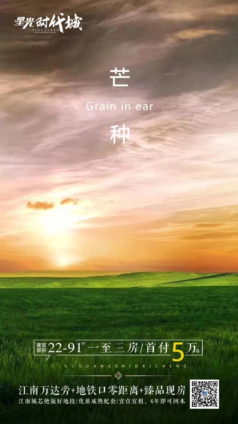 芒种海报地产-采灵感-cailinggan.com