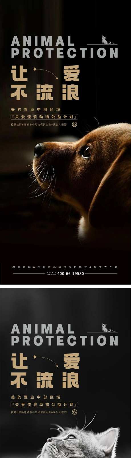 保护动物动物救助公益海报-采灵感-https://www.cailinggan.com/