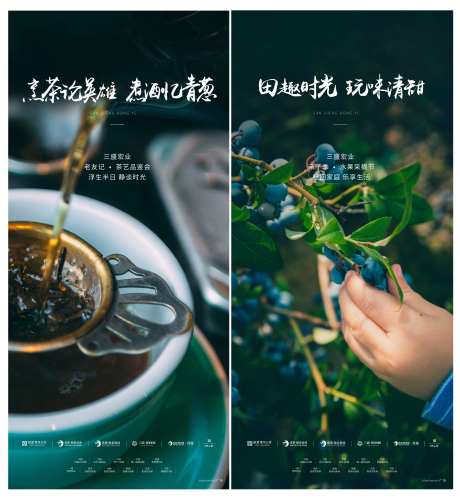 房地产茶艺采摘活动海报-采灵感-https://www.cailinggan.com/