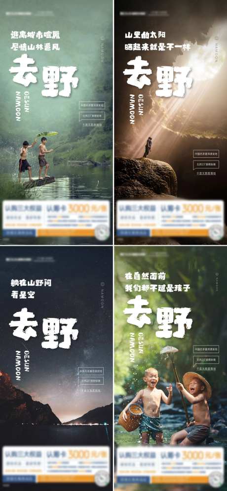 地产去野系列海报-采灵感-https://www.cailinggan.com/