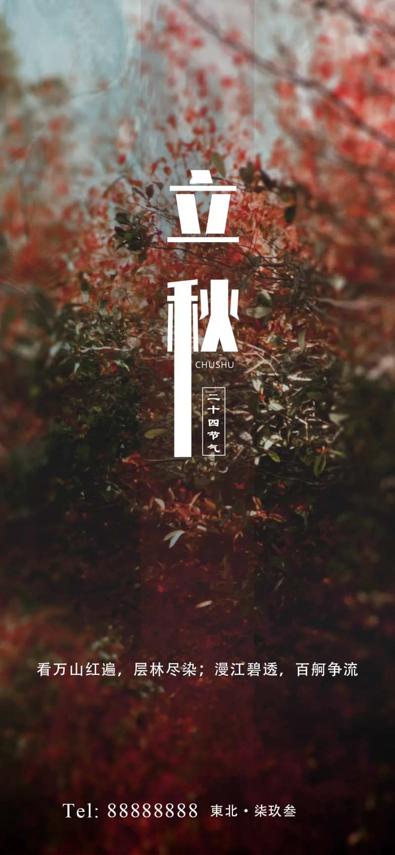 立秋节气海报-采灵感-cailinggan.com