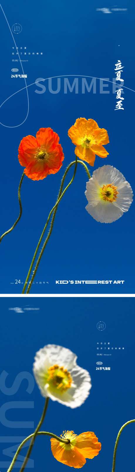 夏季花卉24节气海报-采灵感-https://www.cailinggan.com/