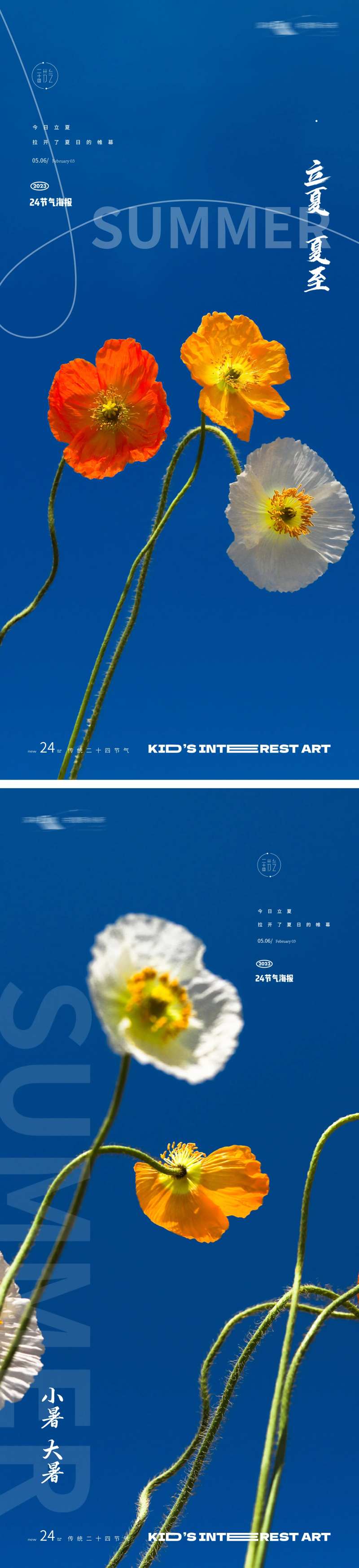 夏季花卉24节气海报-采灵感-cailinggan.com