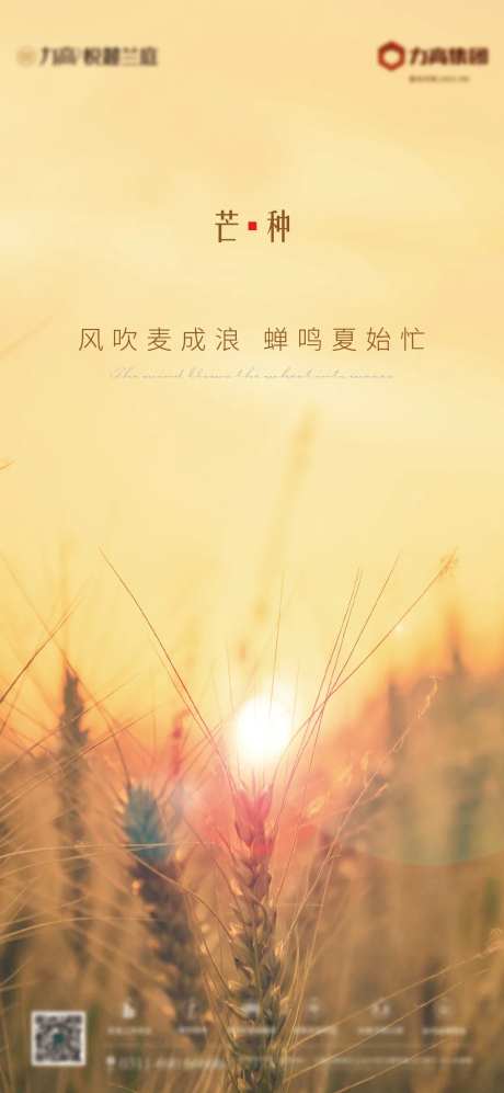芒种地产节气-采灵感-https://www.cailinggan.com/