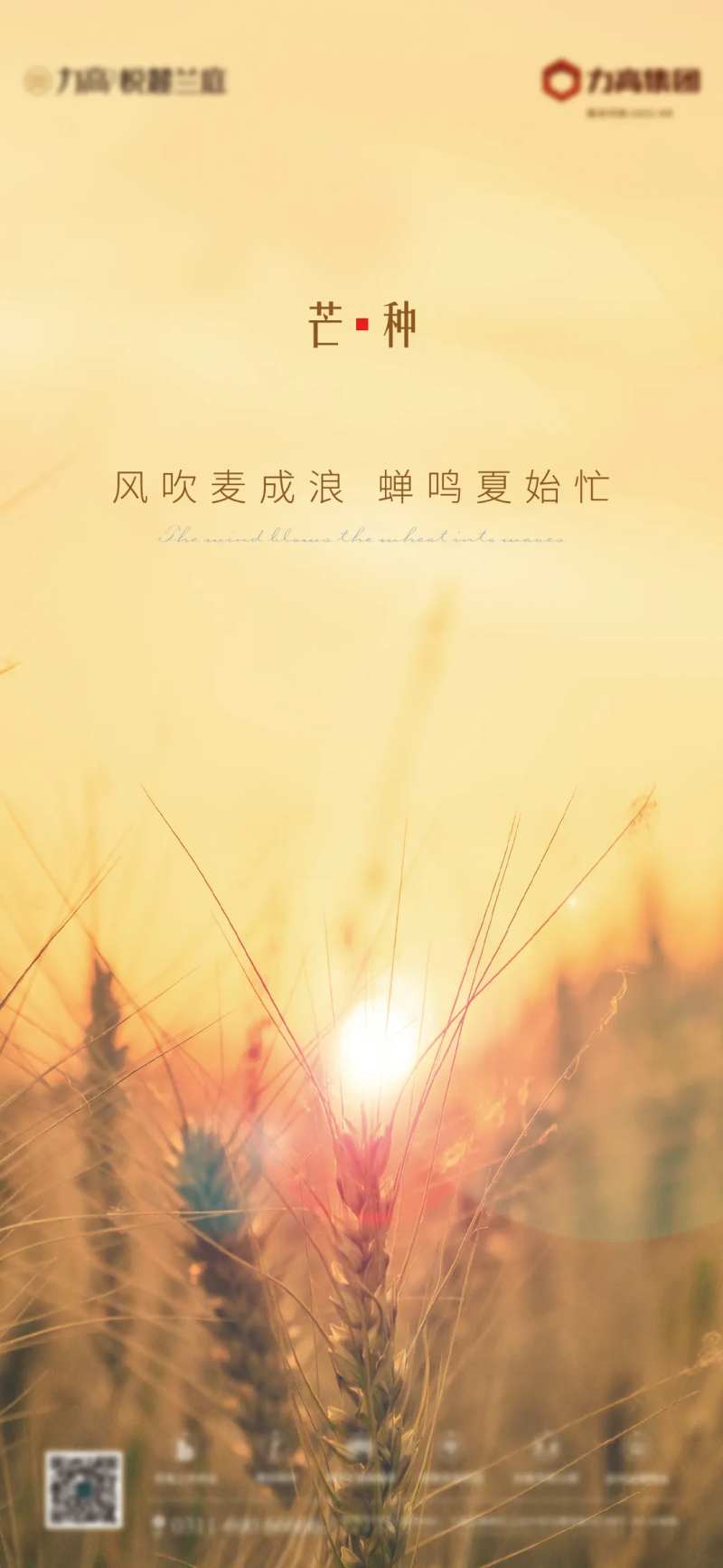 芒种地产节气-采灵感-cailinggan.com