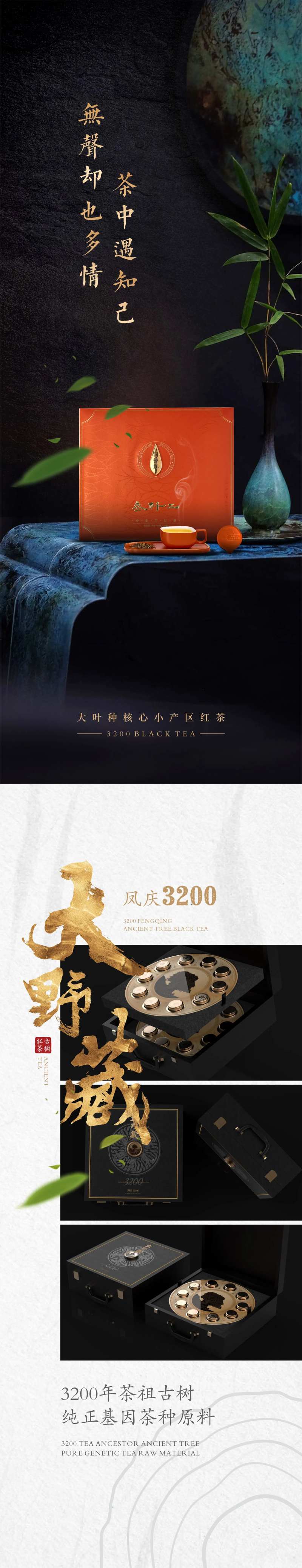红茶介绍长图海报-采灵感-cailinggan.com