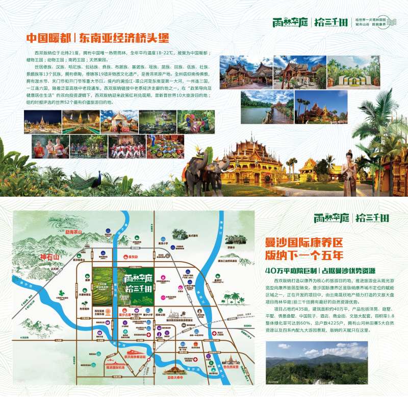 西双版纳雨林风景展板-采灵感-cailinggan.com