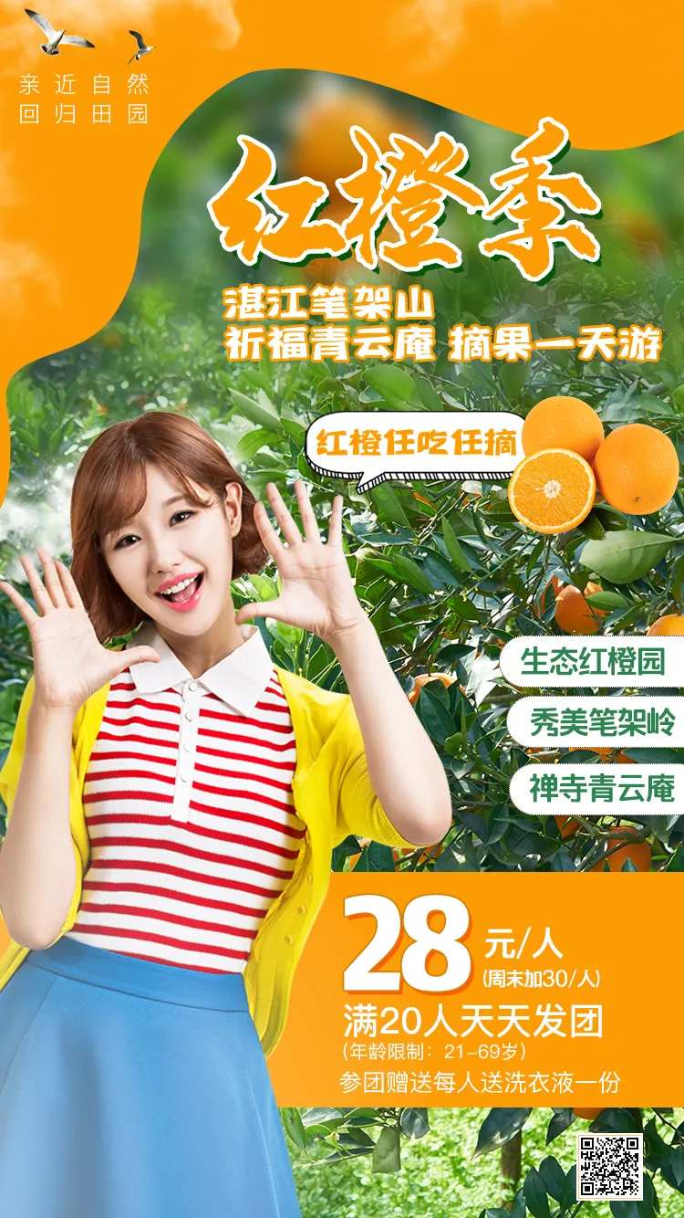 摘红橙一日游海报-采灵感-cailinggan.com