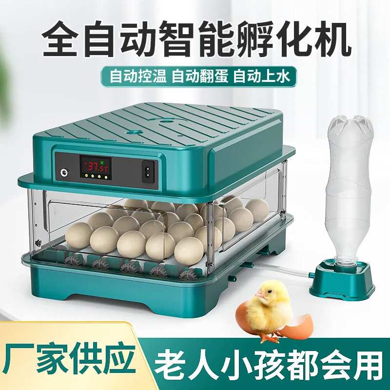 电商孵化器主图-采灵感-cailinggan.com