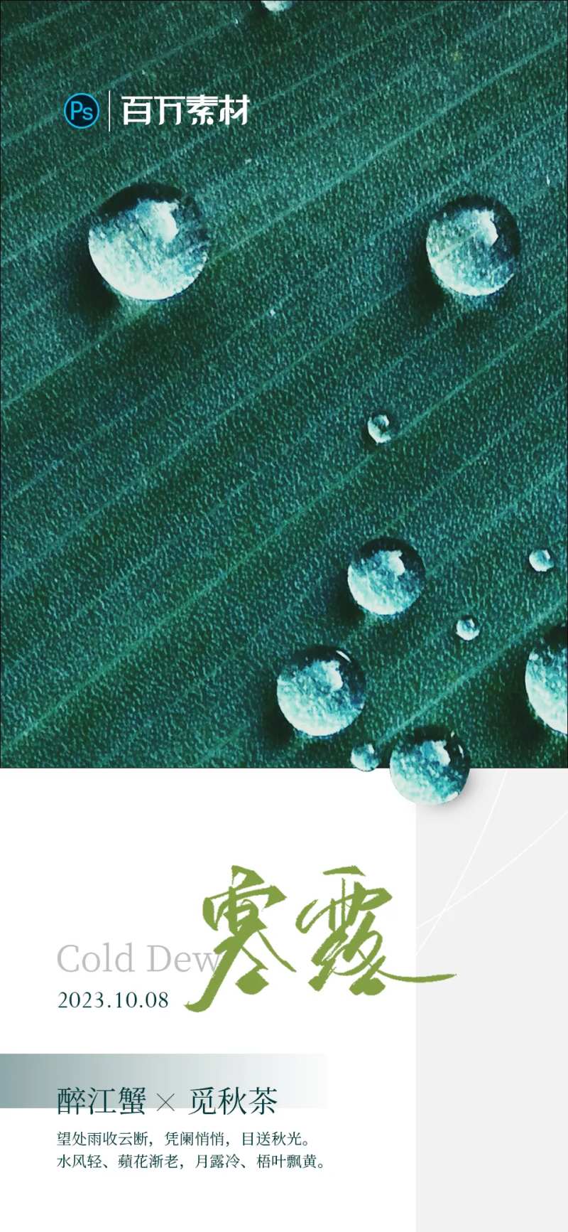 寒露-采灵感-cailinggan.com