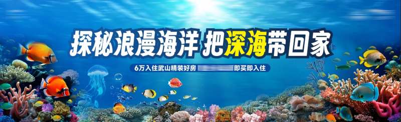海底总动员活动展板-采灵感-cailinggan.com