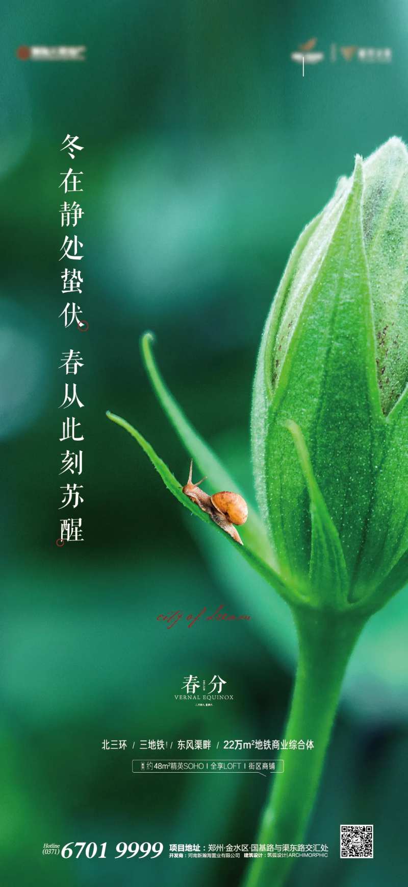 春分-采灵感-cailinggan.com