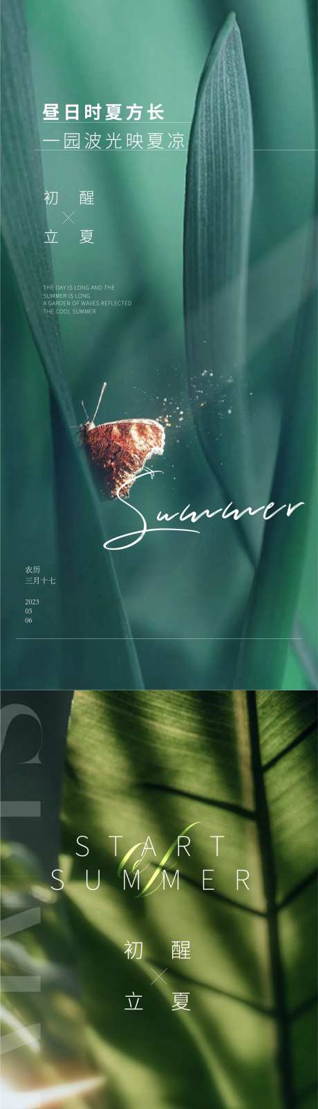立夏节气海报   -采灵感-https://www.cailinggan.com/